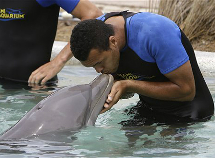 Цонга посети делфинариума в Маями