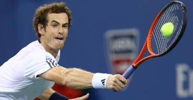 Анди Мъри може да пропусне и Australian Open 2014