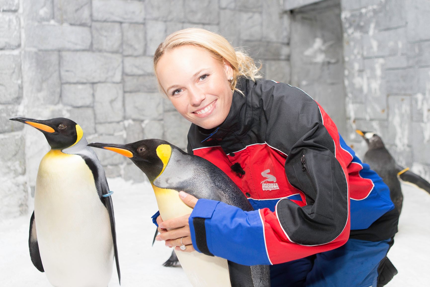 Вожняцки се забавлява с пингвини в Дубай (снимки)