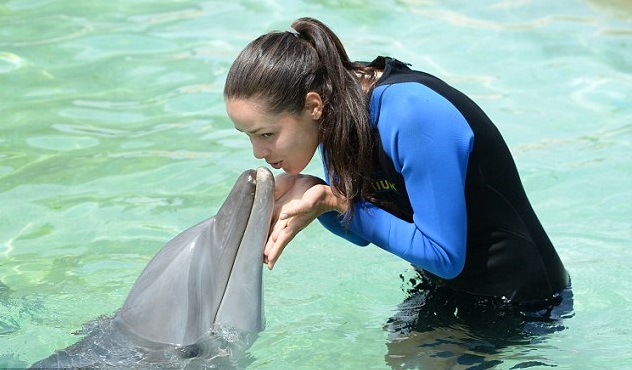 Иванович и компания се забавляват с делфини (снимки и видео)