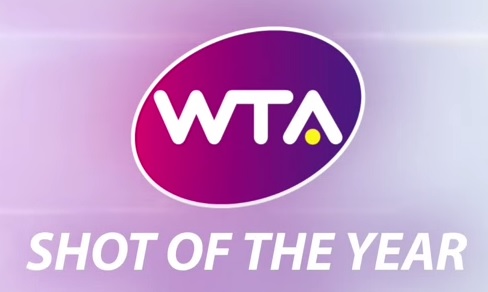 ВИДЕО: Вижте номинациите за най-добър удар на годината