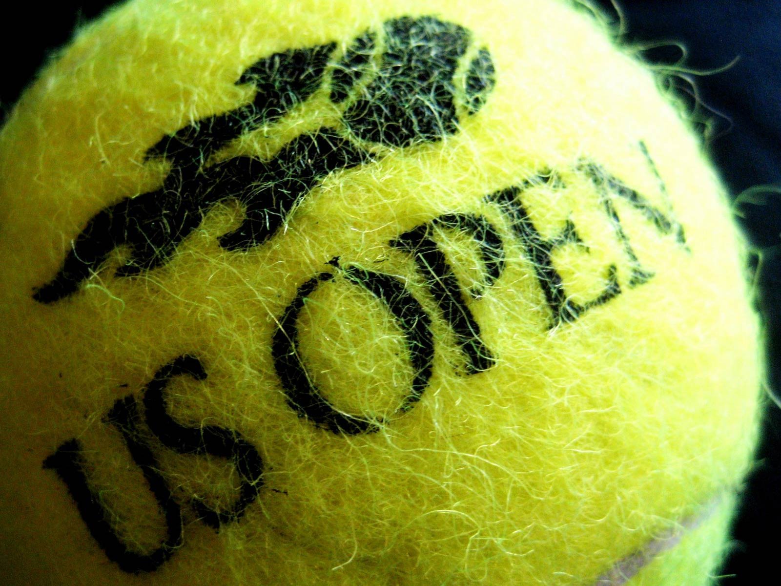 US OPEN 2010: Прогнози на заем