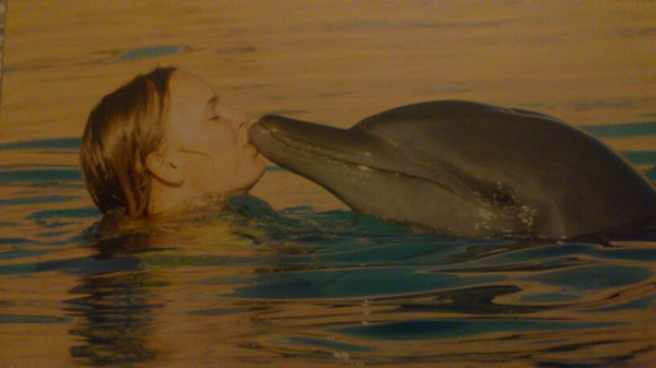 Вожняцки разменя целувки с делфин, Рори ревнува