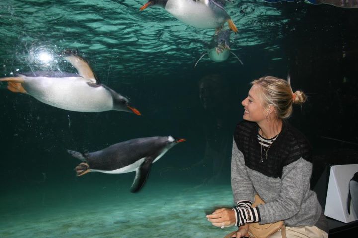 Мария Шарапова се забавлява с пингвини